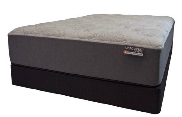 campbell natural plush mattress